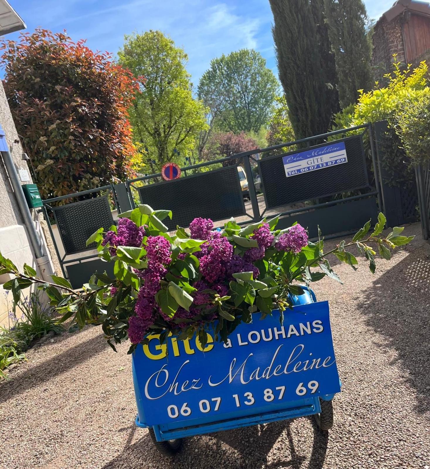 Gite Chez Madeleine Apartment Louhans Ngoại thất bức ảnh